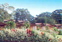 Views from the Hot Springs & Spa at the Tabacon Lodge