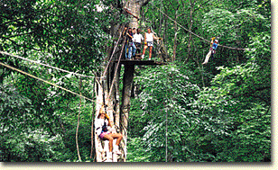 canopy adventure