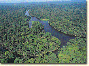 Tortugero National Park